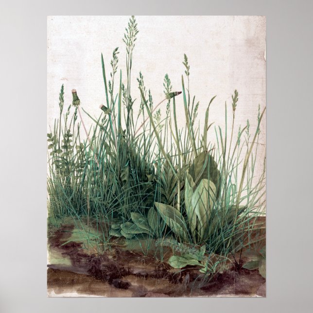 Affiche Albrecht Dürer The Large Piece of Turf (Devant)