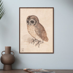 Affiche Albrecht Durer The Little Owl Art