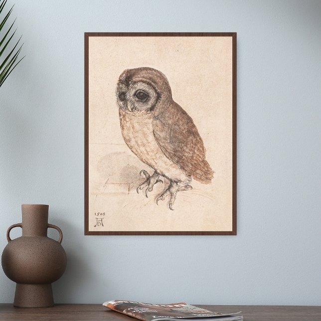 Affiche Albrecht Durer The Little Owl Art (Créateur téléchargé)