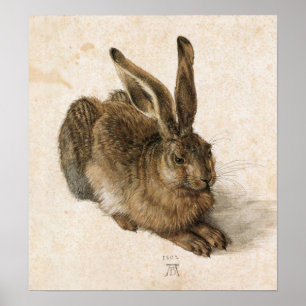 Affiche Albrecht Durer Young Hare