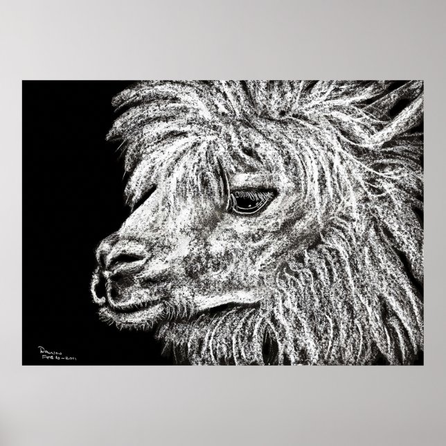 Affiche alcapa (Devant)