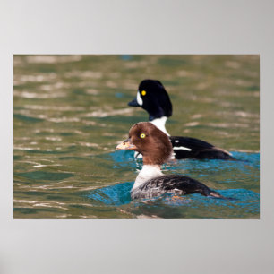 Affiche Alert Goldeneye