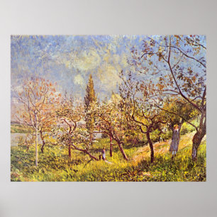 Affiche Alfred Sisley Orchard au printemps