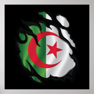 Affiche Algérie - Drapeau déchiré