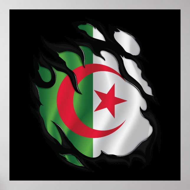 Affiche Algérie - Drapeau déchiré (Devant)