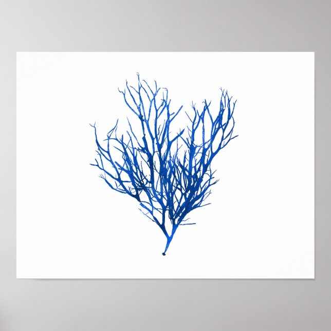 Affiche Algues bleues #10 42x32 cm (Devant)