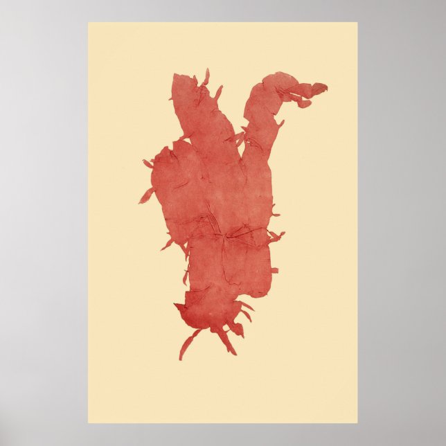 Affiche Algues Pressées Original Deuxième De Quatre (Devant)