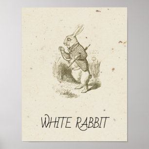 Affiche Alice au pays des merveilles - LAPIN BLANC