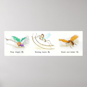 Affiche Alice dans des insectes du pays des merveilles