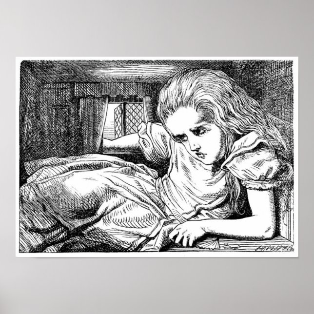 Affiche Alice dans la maison du lapin blanc (Devant)