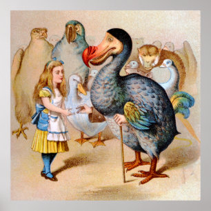 Affiche Alice et Dodo Bird au pays des merveilles