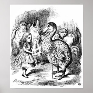 Affiche Alice et le Dodo