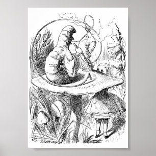 Affiche Alice rencontre l'affiche Caterpillar