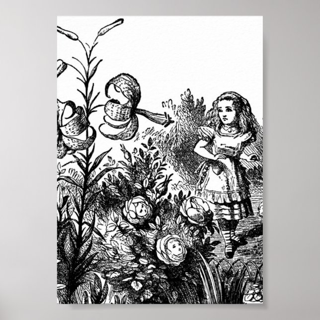 Affiche Alice Talks with Garden Flowers (Devant)