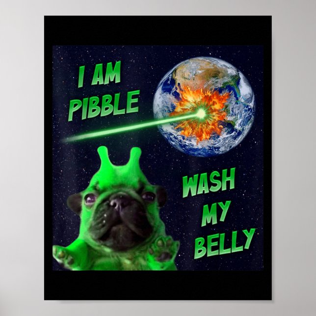 Affiche Alien Bble Funny Brainrot Dog Meme Space I Am Bble (Devant)