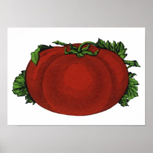 Affiche Aliments Anciens, Tomate Mûre, Légumes et Fruits