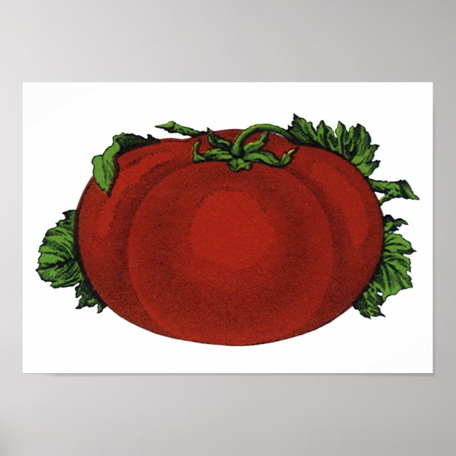 Affiche Aliments Anciens, Tomate Mûre, Légumes et Fruits (Devant)
