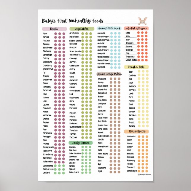 Affiche Aliments pour bébés, Aliments pour bébés sains par (Devant)