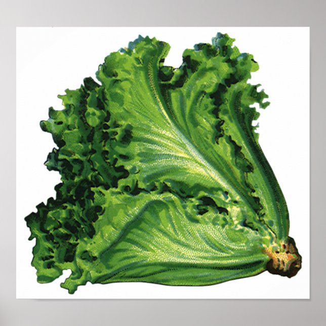 Affiche Aliments vintages, Légumes à la feuille verte (Devant)