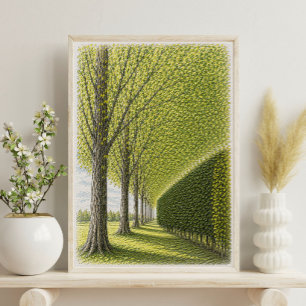 Affiche Allée bordée d'arbres   Art de paysage botanique