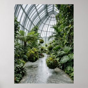 Affiche Allée de la jungle de la serre tropicale
