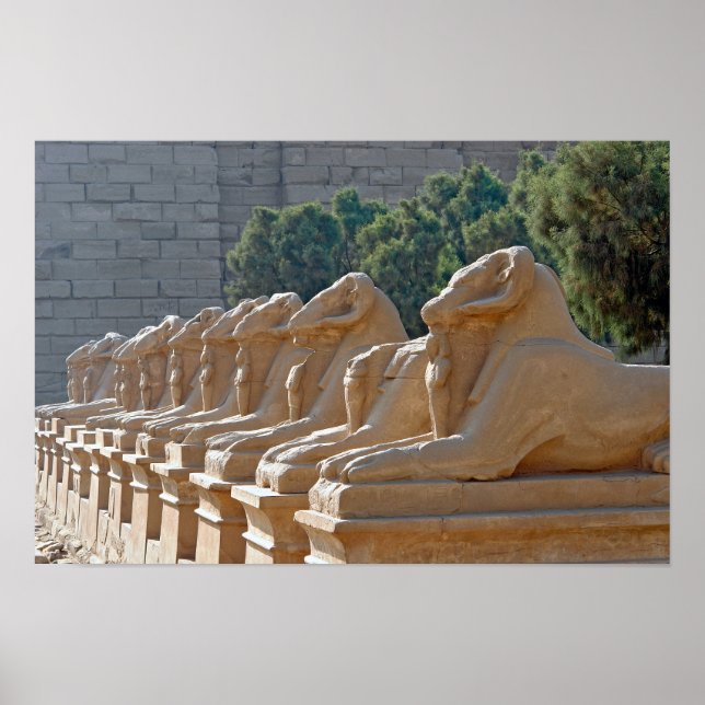 Affiche Allée des Sphinx à Karnak Temple - Égypte (Devant)