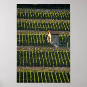Affiche Allemagne, Franconie, Wertheim. Colline spéciale 2