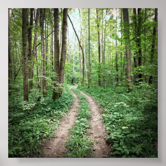 Affiche Aller dans la forêt