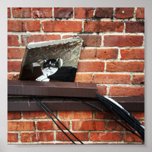 Affiche alley cat art
