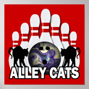 Affiche Alley Cats