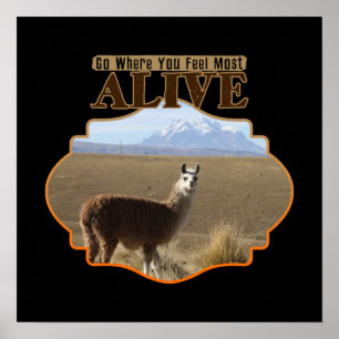 Affiche Allez Là Où Vous Sentez Le Plus Alive Llama Aventu