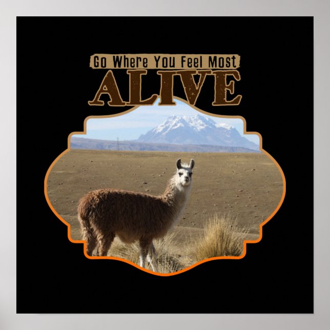 Affiche Allez Là Où Vous Sentez Le Plus Alive Llama Aventu (Devant)