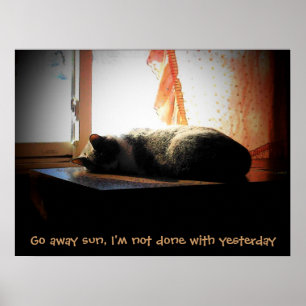 Affiche Allez Soleil - Chat Endormi