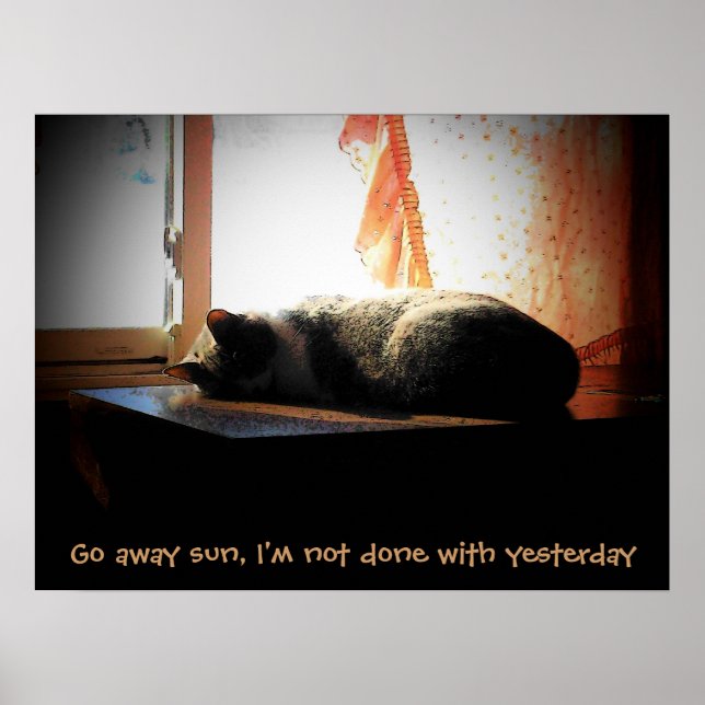 Affiche Allez Soleil - Chat Endormi (Devant)
