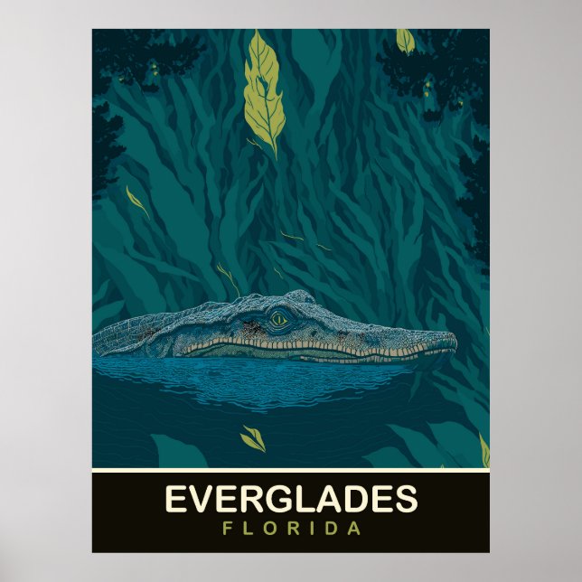 Affiche Alligator aux Everglades, Floride, Voyage (Devant)