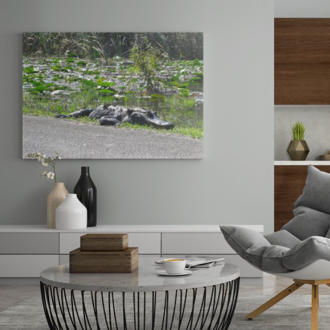 Affiche Alligator sur Alligator Alley, Fl (Créateur téléchargé)