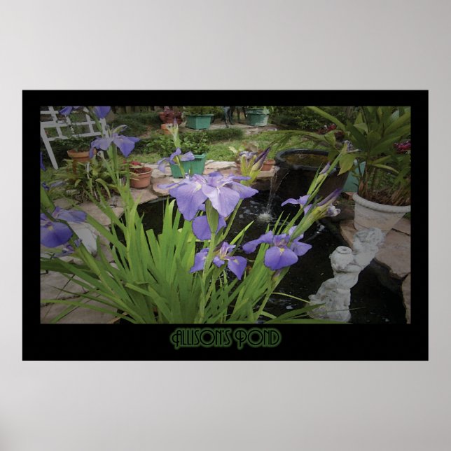 Affiche "Allison's Pond" - Imprimer (Devant)