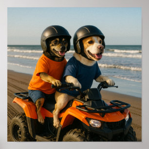 Affiche "Allons faire du quad"