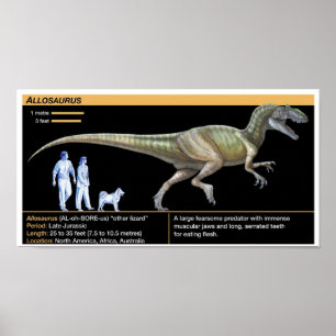 Affiche Allosaurus - Biologie Jurassique