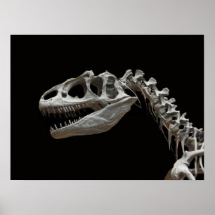 Affiche Allosaurus fossile tête et cou