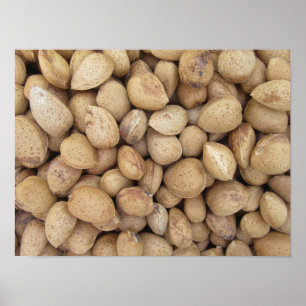 Affiche Almonds Automne Motifs
