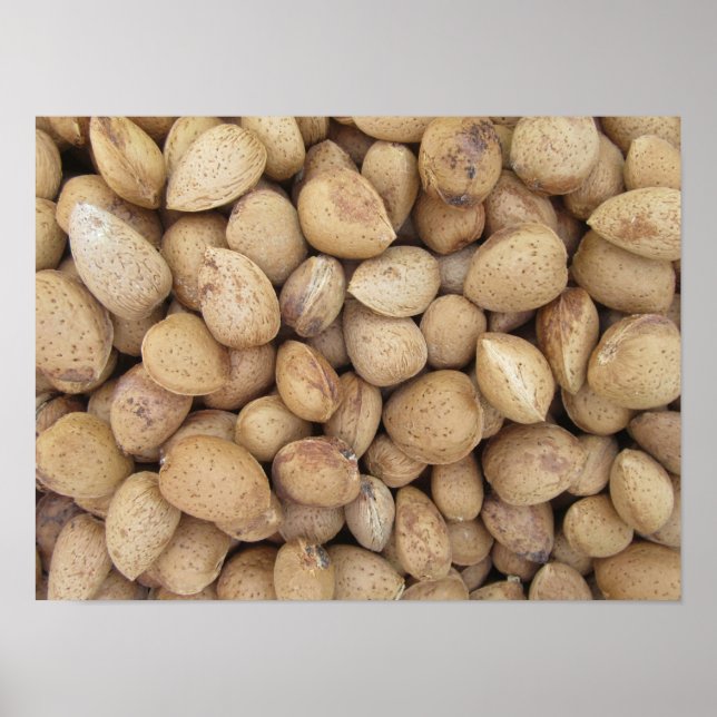 Affiche Almonds Automne Motifs (Devant)