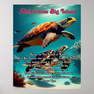 Affiche Aloha Big Island Hawaii