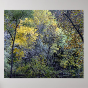 Affiche Along the Brandywine