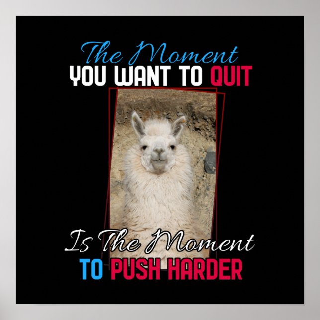 Affiche Alpaca Llama - Push Harder Encouragement (Devant)