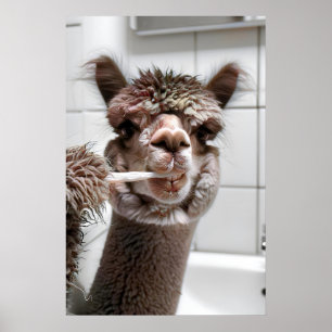 Affiche Alpaca se brossant les dents, Mur de salle de bain