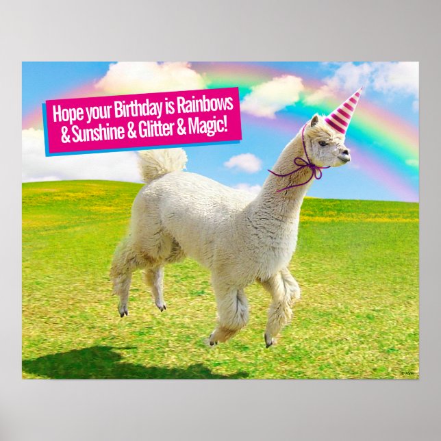 Affiche Alpaca Unicorne sous ciel ciel (Devant)