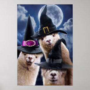 Affiche Alpaca Witches