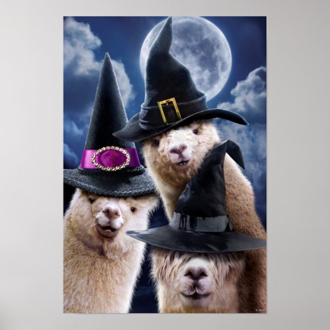 Affiche Alpaca Witches (Devant)