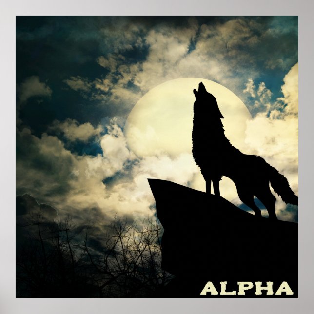 Affiche Alpha Wolf Howling À La Pleine lune (Devant)